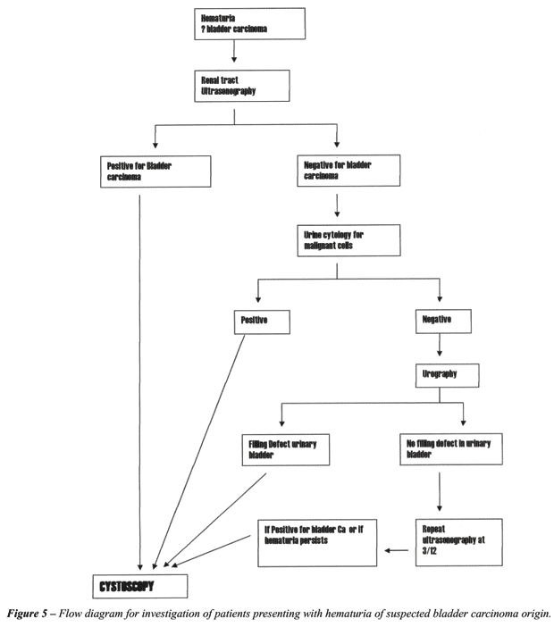 Pathophysiology Of Bladder Cancer In Flow Chart
