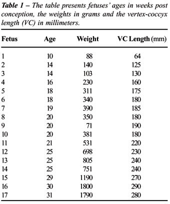 Fetal Pig Length Age Chart