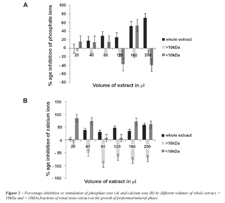 Release of phosphate ions amorphous urate crystals in urine. Release of phosphate ions